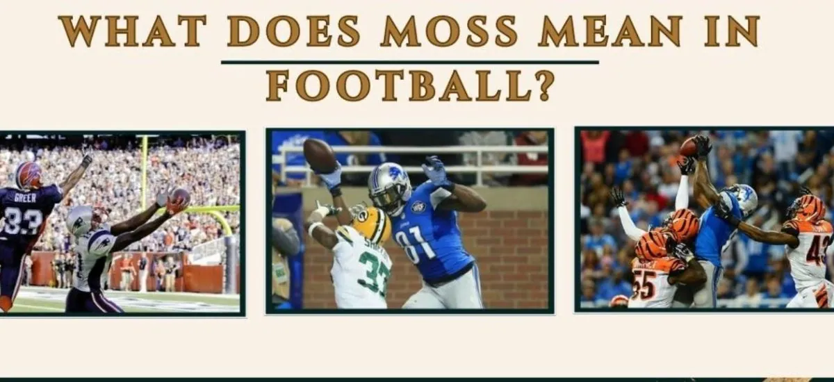 Definition Of What Does Moss Mean In Football
