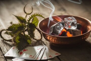 stinging plants meet fiery gaming